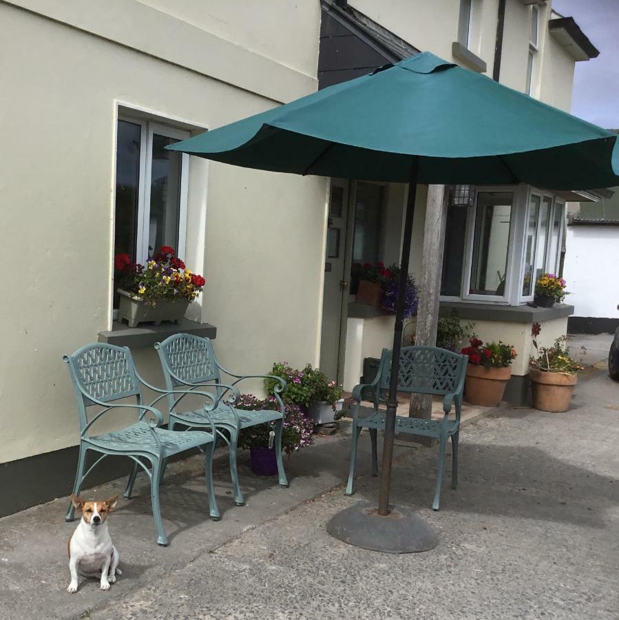 Dromelihy House Stud Guest House Doonbeg Exterior photo